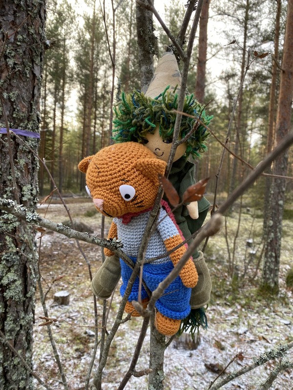 Sankarikissa ulkona