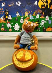 Sankarikissa istuu kurpitsan päällä.