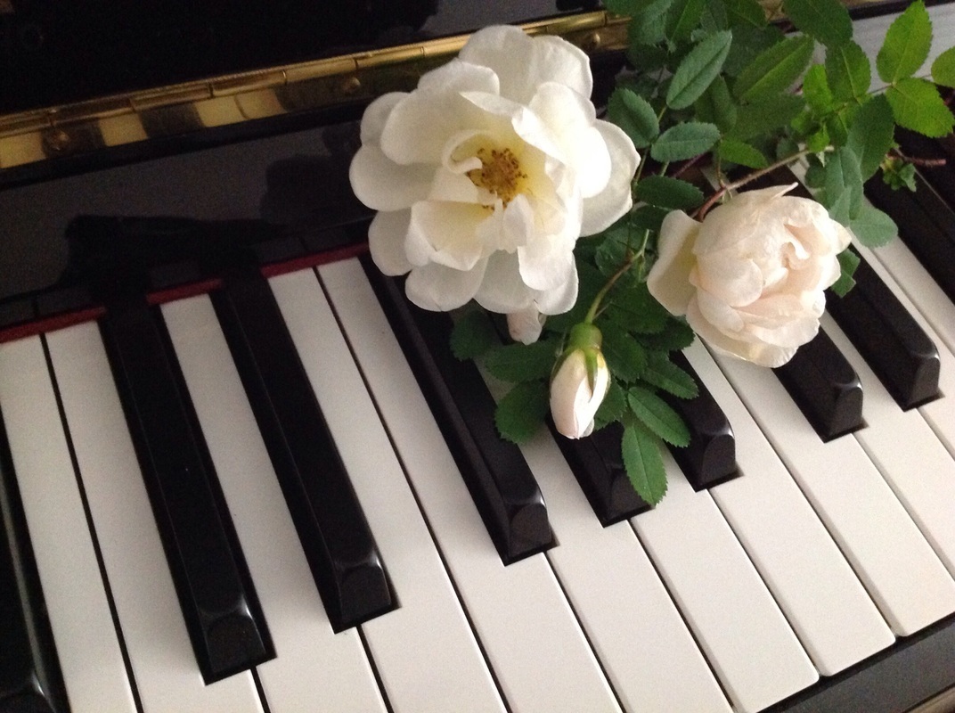 Piano.jpg