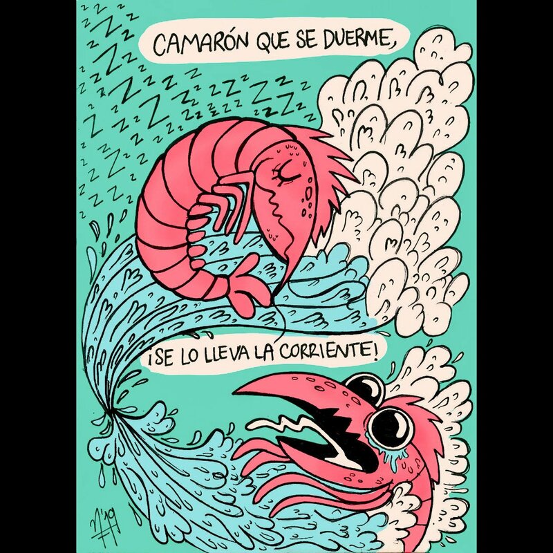 Camarón.jpg