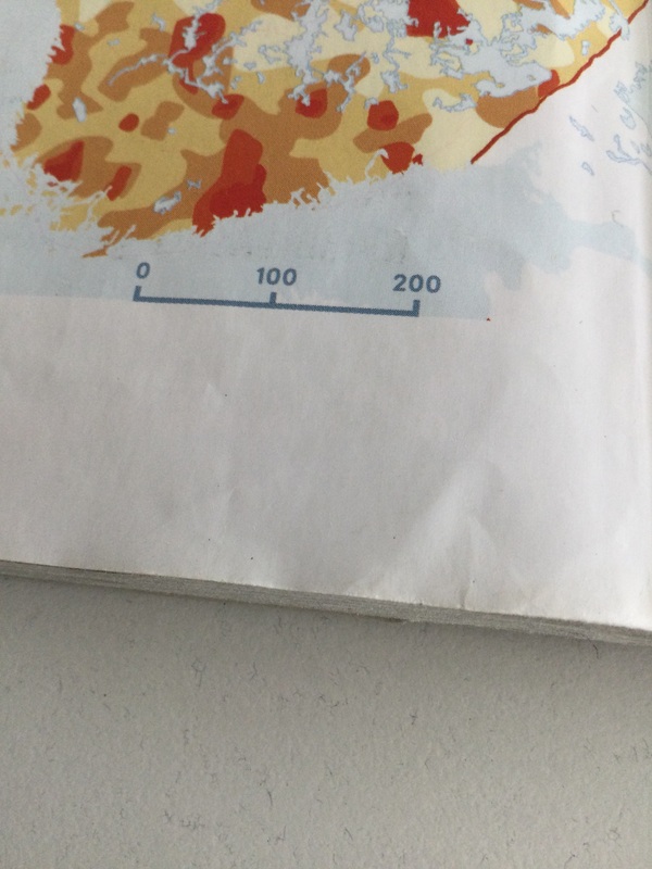 image.jpg