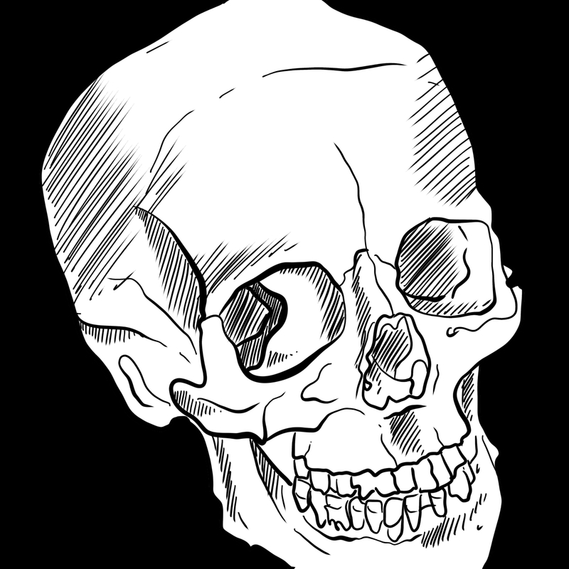 IMG_5456.jpeg