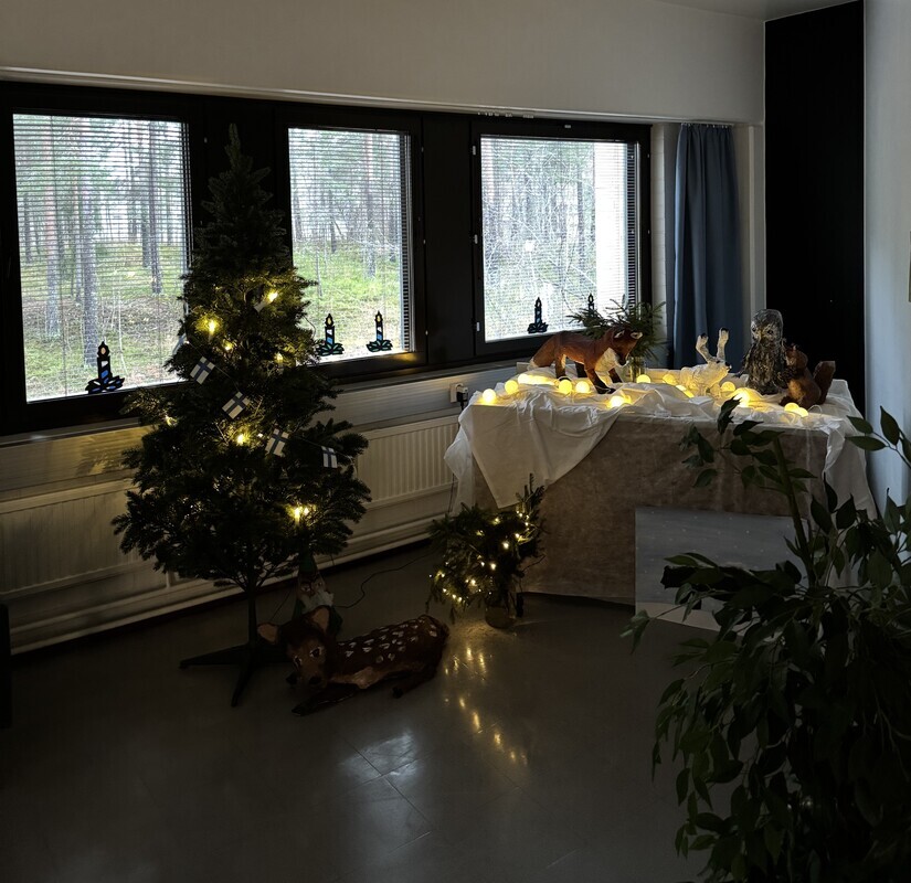 Minun Suomeni, itsenäisyyspäivänäyttely 5.12.2025