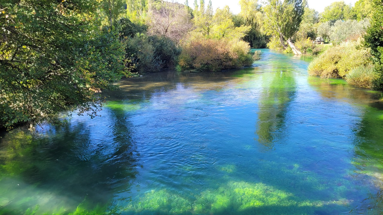 20241001_110506.jpg