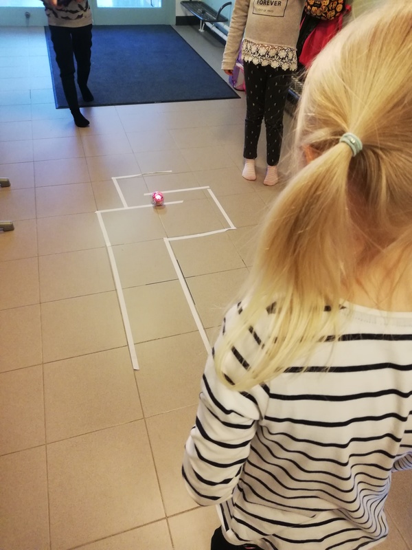 Lapset ohjaamassa Sphero-robottipalloa lattiaan merkityn reitin läpi.