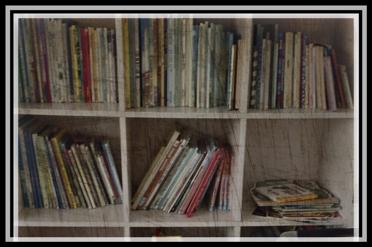 Kirjoja kirjahyllyssä.