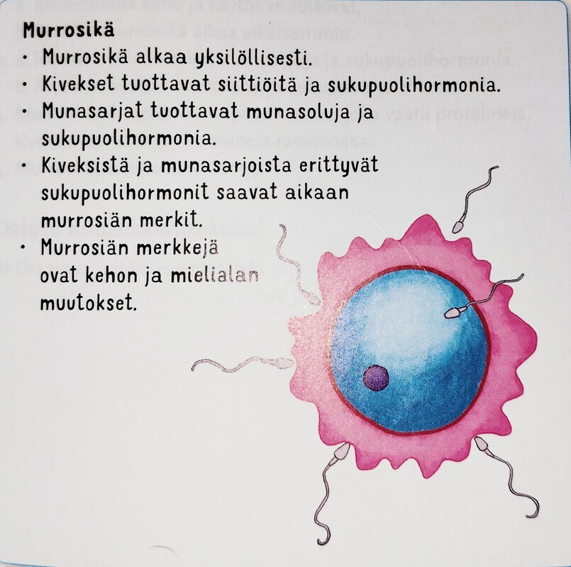 Kirjoita muistiinpanot vihkoosi. Kuvan piirtäminen on vapaaehtoista.