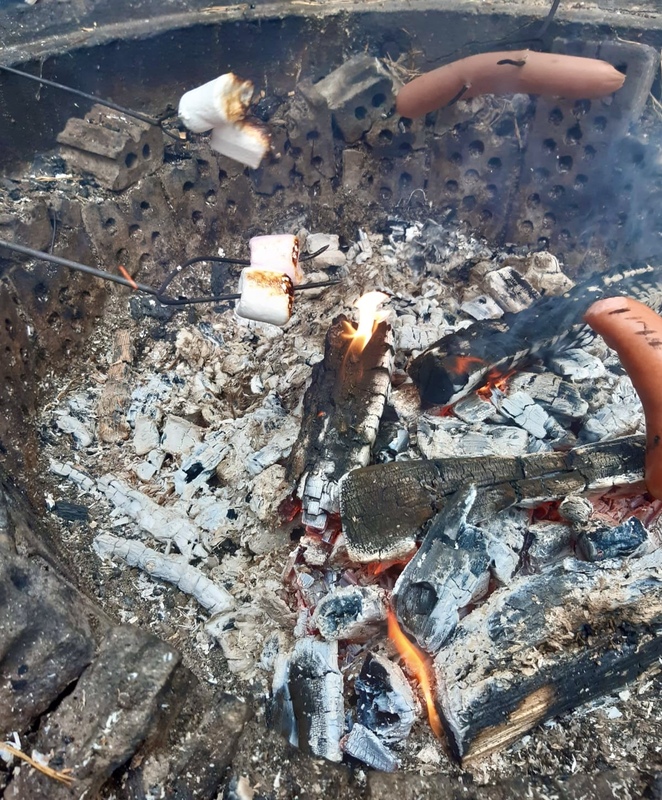 Kuvassa paistetaan makkaraa nuotiolla.