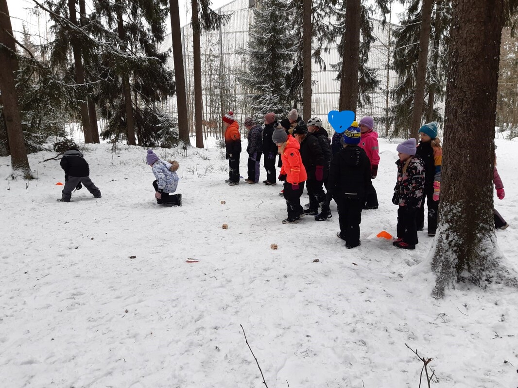 Linnun poikanen lentokuntoon -viesti muokattu.jpg