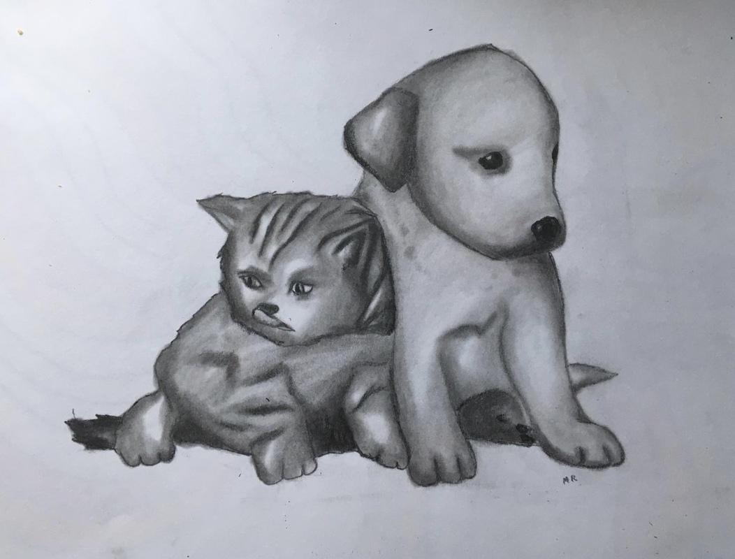 Piirroskuvassa koira ja kissa - oppilastyö