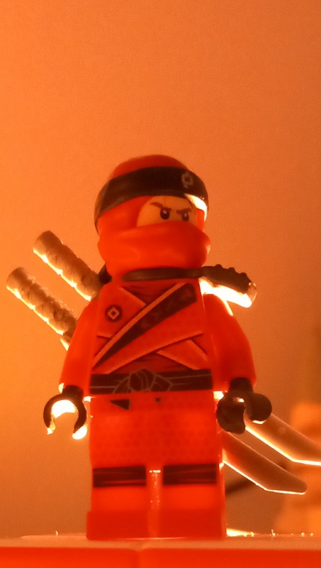 20241208_114312.jpg