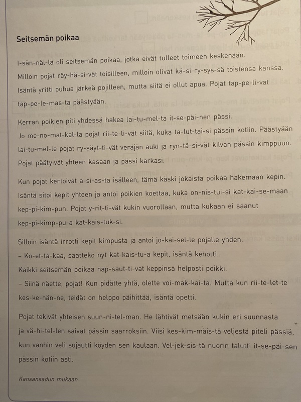 Luetunymmärtämisen teksti: Seitsemän poikaa