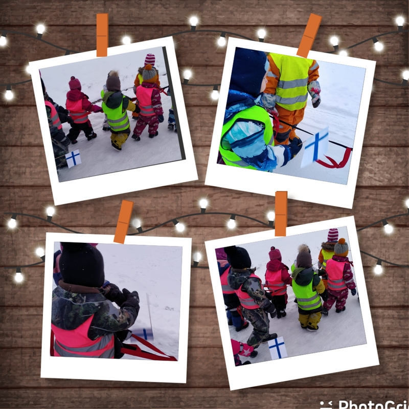 PhotoGrid_Plus_1638549952333.jpg