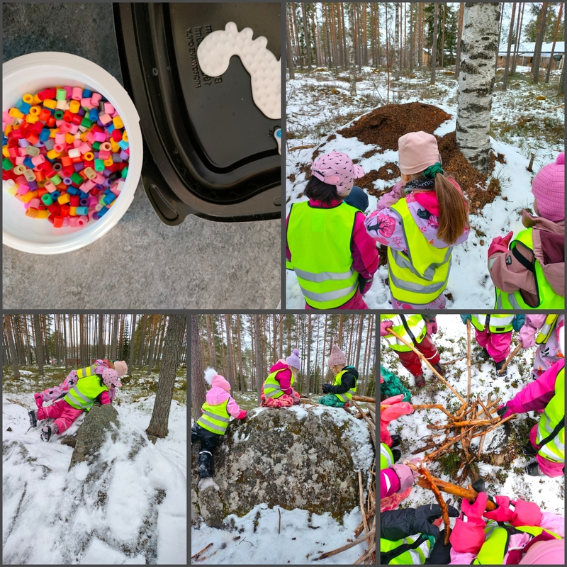 PhotoCollage_1714039198246.jpg