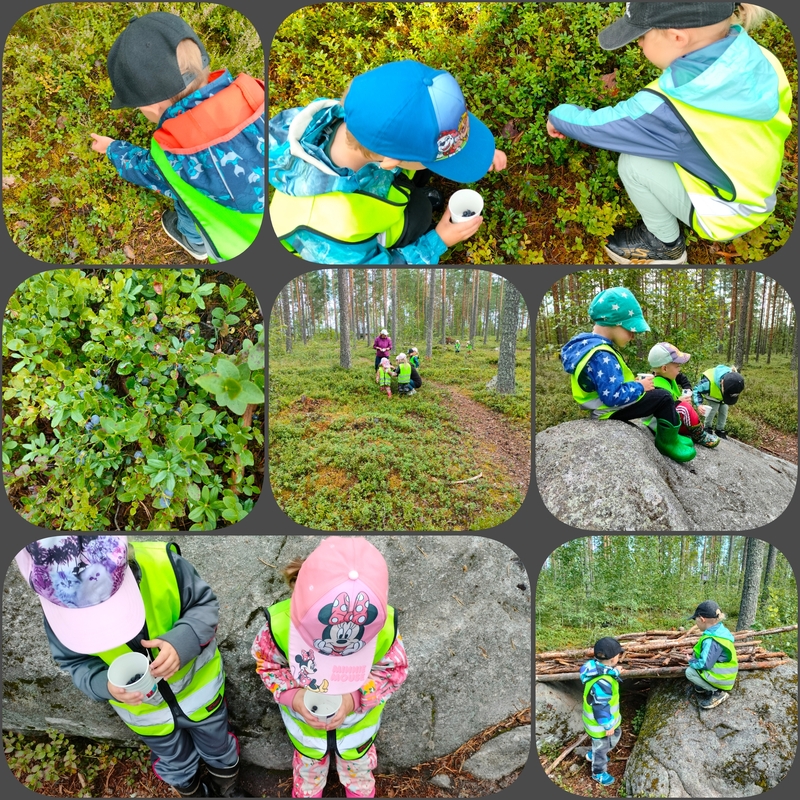 PhotoCollage_1754557237110.jpg