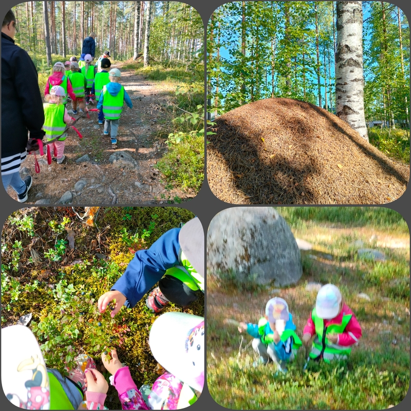 PhotoCollage_1755075462327.jpg