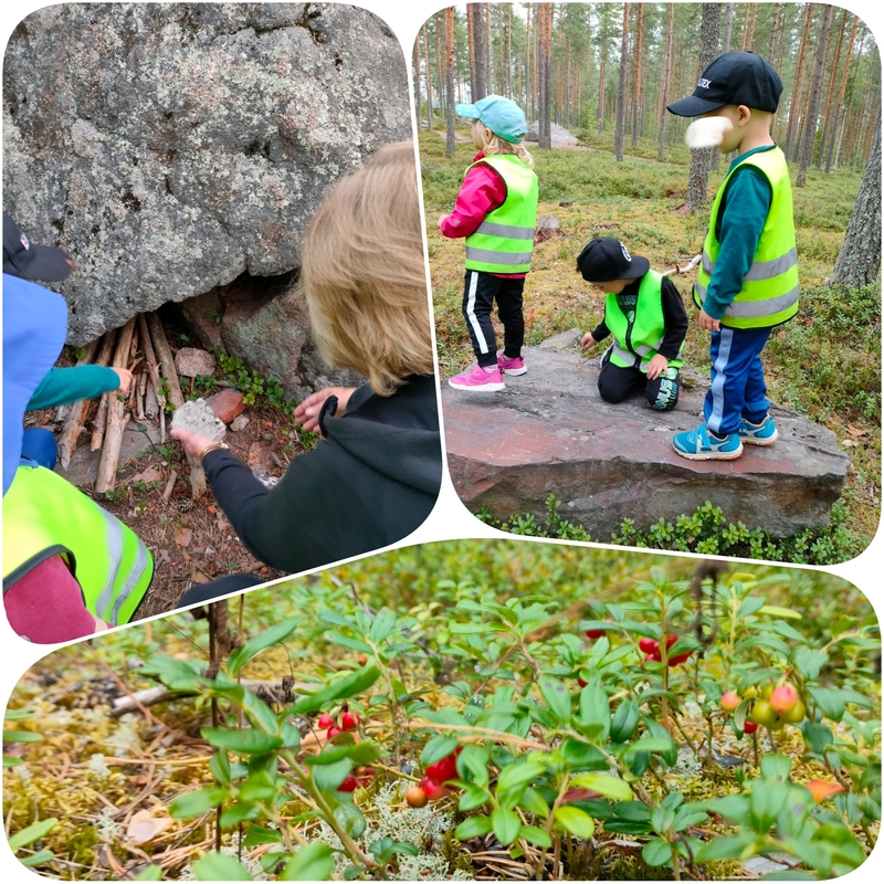 PhotoCollage_1755251195893.jpg