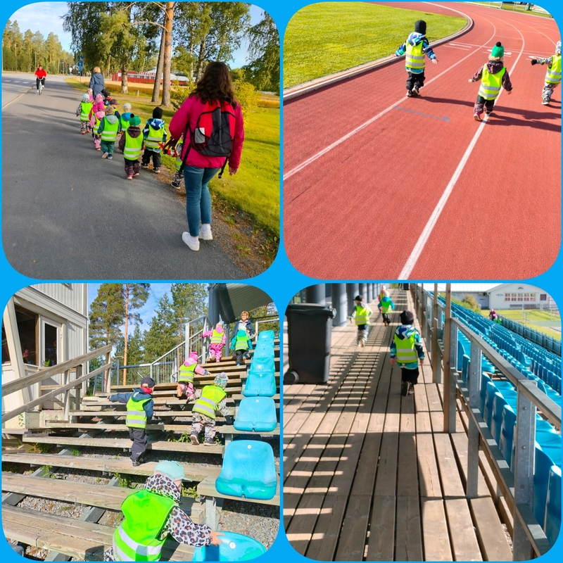PhotoCollage_1756372926659.jpg
