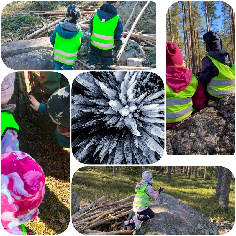 PhotoCollage_1776676679220.jpg