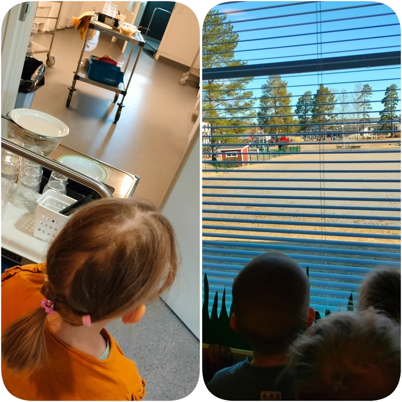 PhotoCollage_1776923218158.jpg