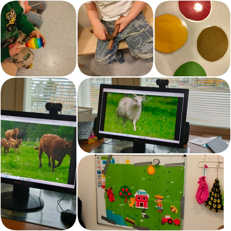 PhotoCollage_1791192409566.jpg