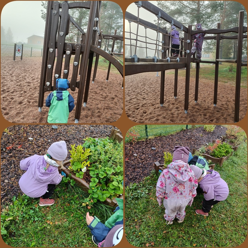 PhotoCollage_1790071995028.jpg