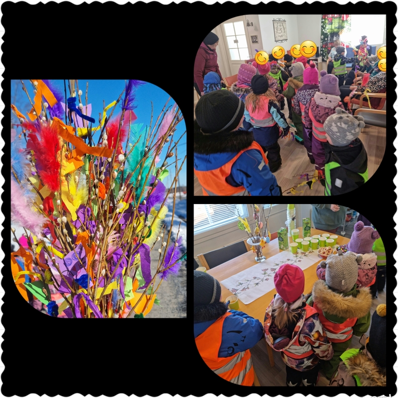 PhotoGrid_Plus_1680513560932.jpg