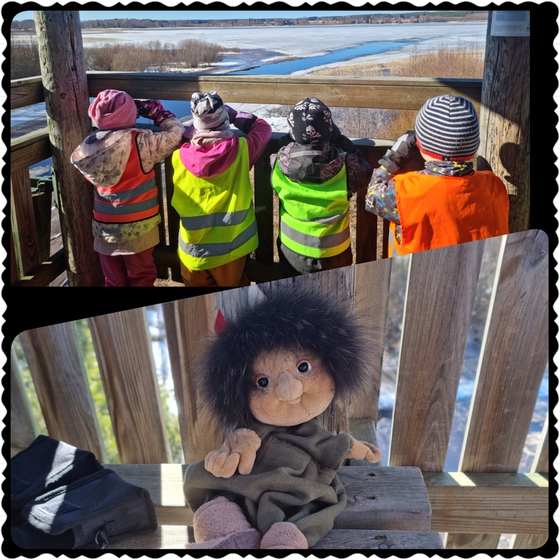 PhotoGrid_Plus_1681922752389.jpg
