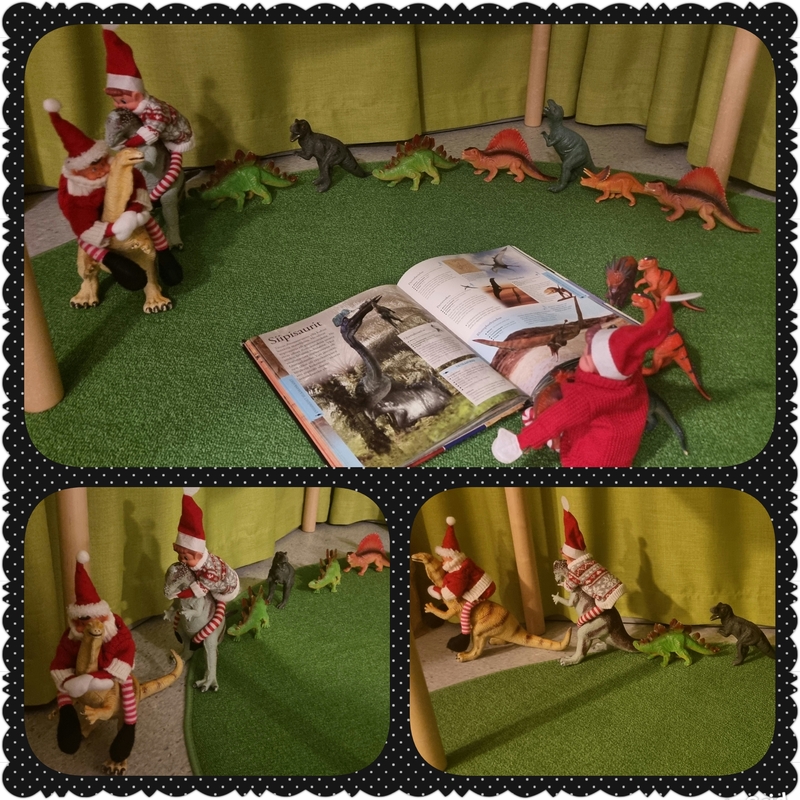 PhotoGrid_Plus_1670950892993.jpg