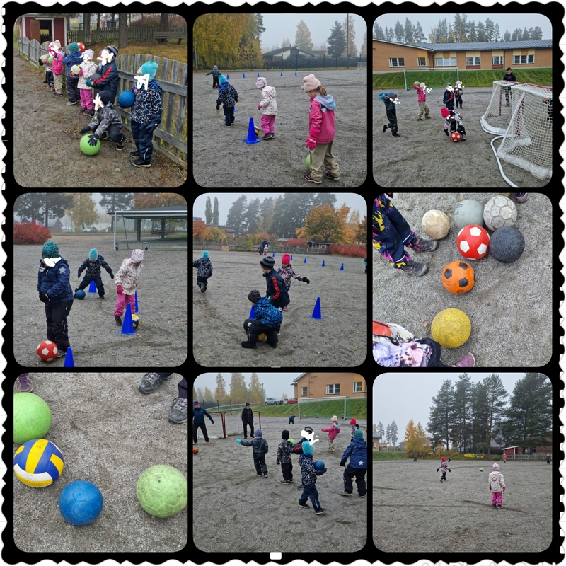 PhotoGrid_Plus_1664799806157.jpg