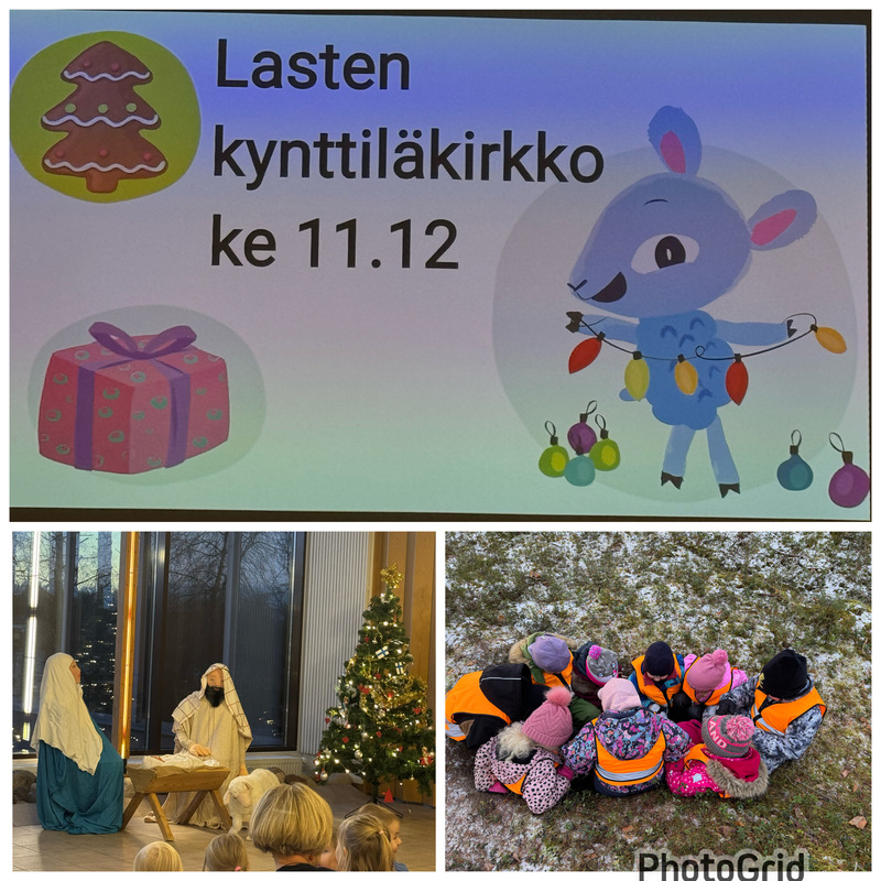 IMG_1388.jpeg