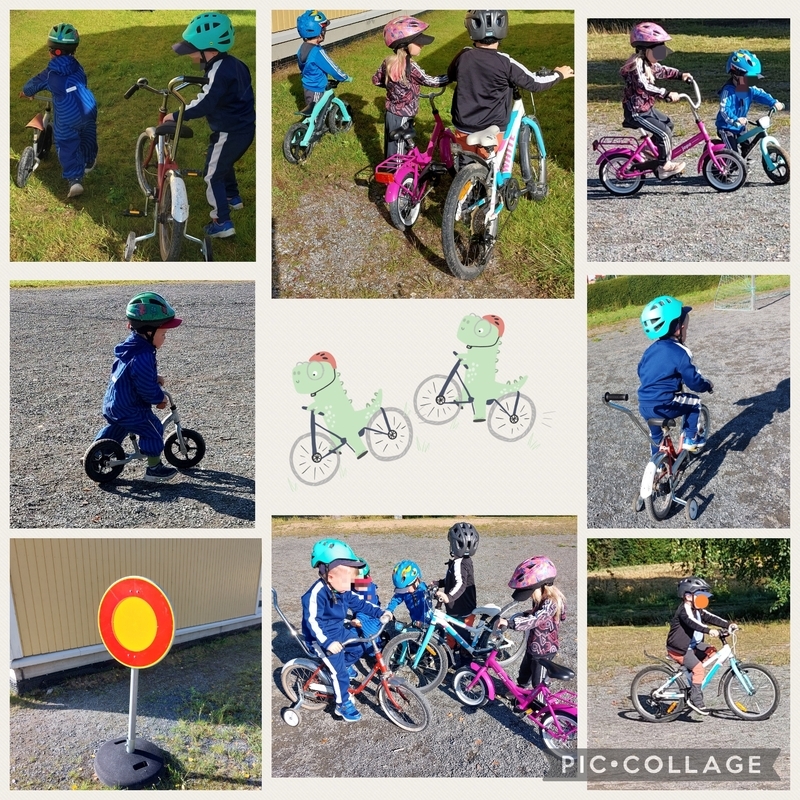 🚲🚲🚲