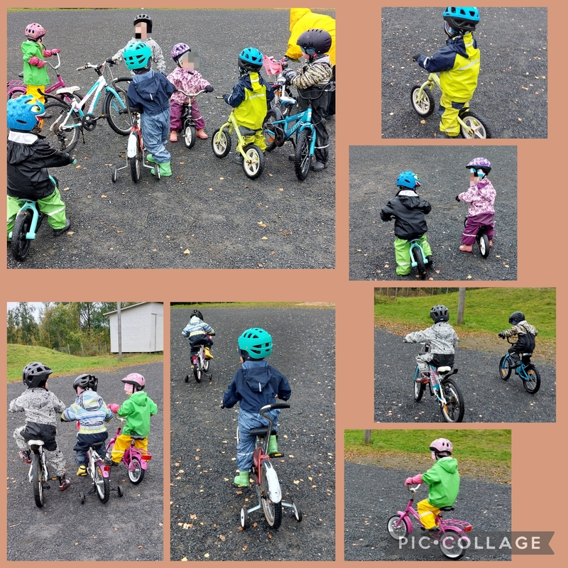 🚲🚲🚲