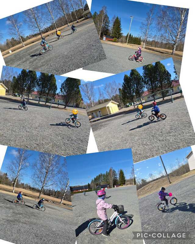 🚲🚲🚲