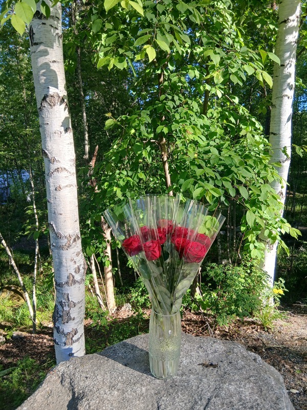 Kiitokset koteihin lukuvuodesta ja yhteistyöstä. Lämmintä kesää kaikille! Tavataan taas 12.8.2026!