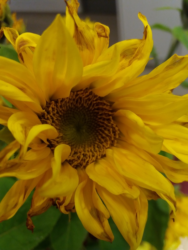 20171007_133015.jpg