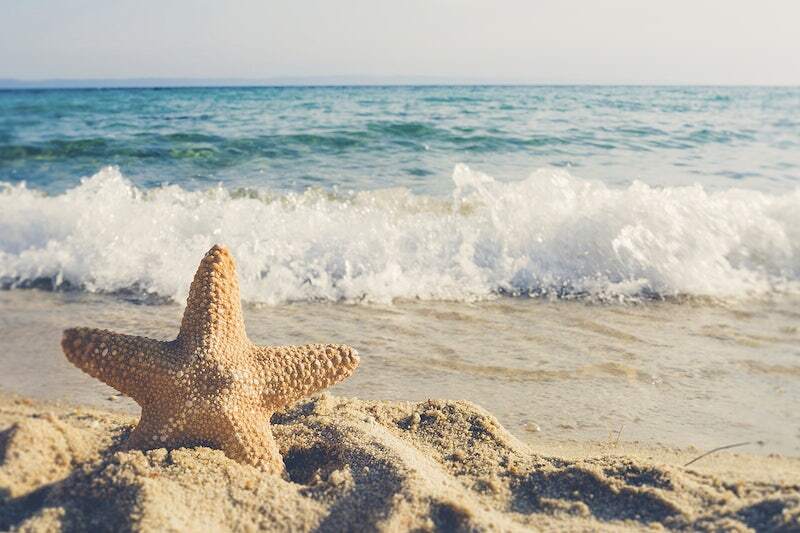 Have a great summer holiday!