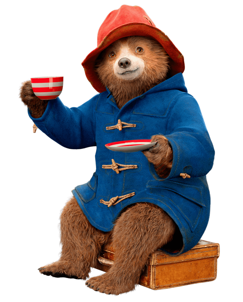 Svg Animation Social Media Art Paddington Png Images - vrogue.co