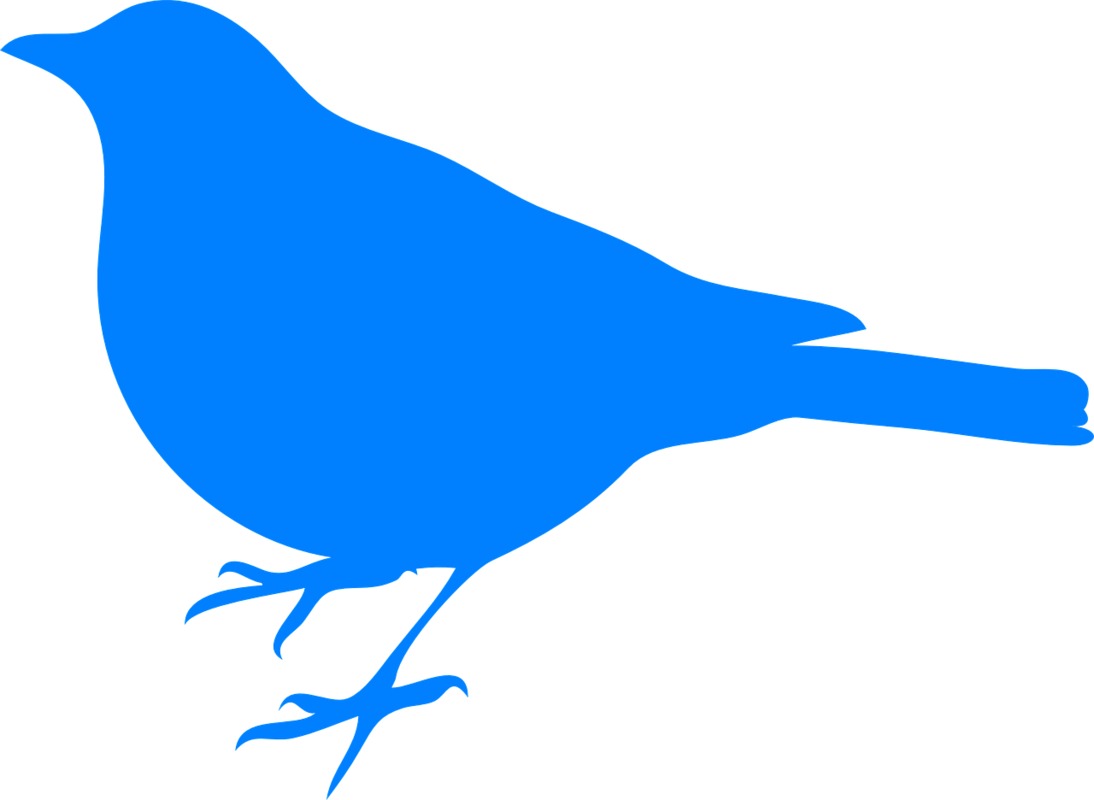 black-bird-310964_1280.png