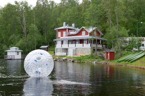 koli-activ-oy.jpg