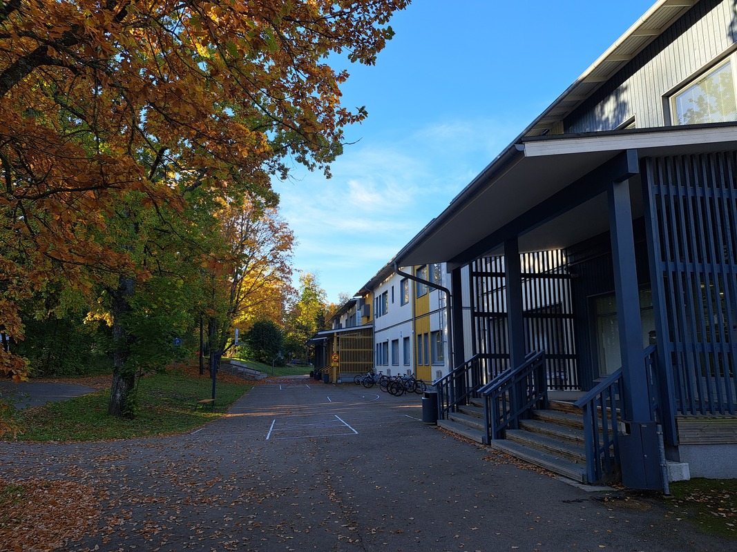 Rantapuisto piha