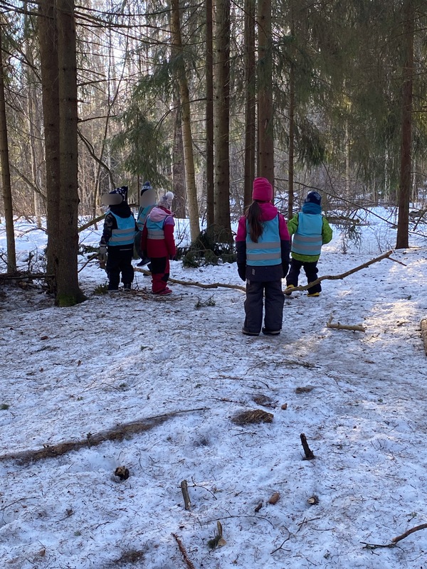 Metsäretki.