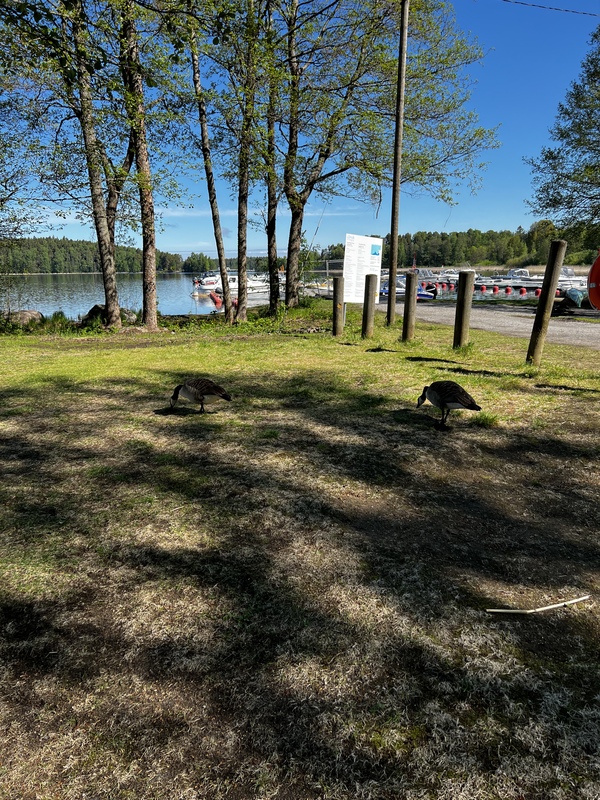 Retkellä.