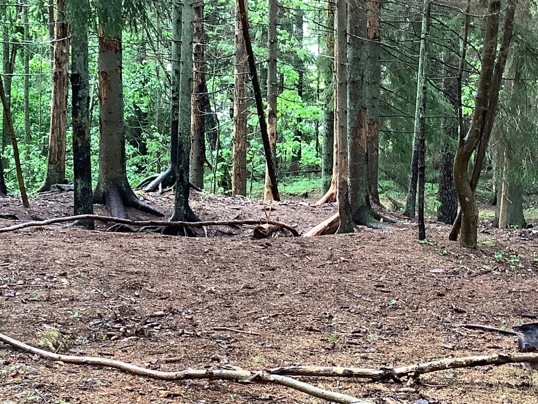 Metsäretki.