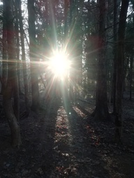 Metsäretki.