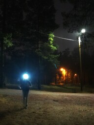 Oppilas juoksee otsalampun valossa metsässä.