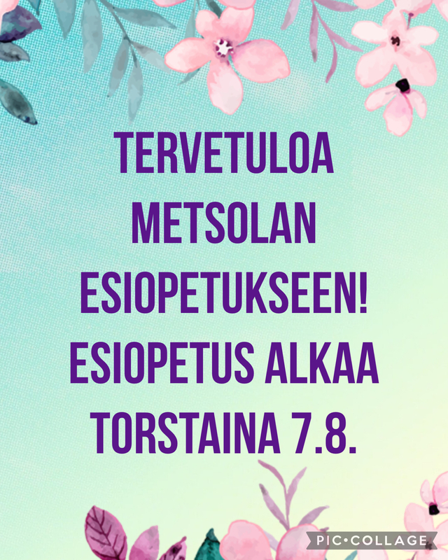 ESIOPETUS ALKAA