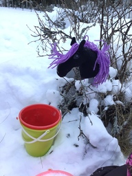 Pusikossa keppihevonen ja vieressä ämpäri.