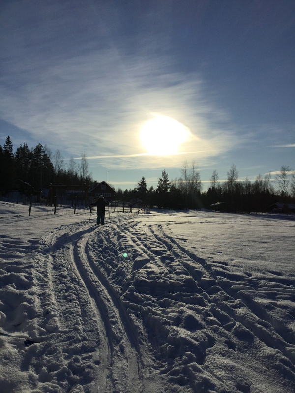 Talvinen maisema, jossa aurinkoa vasten hiihtää lapsi latua pitkin.