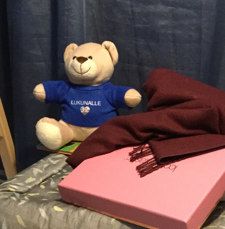 Nalle, jolla sininen paita päällä, vieressä huivi ja pahvilaatikko.